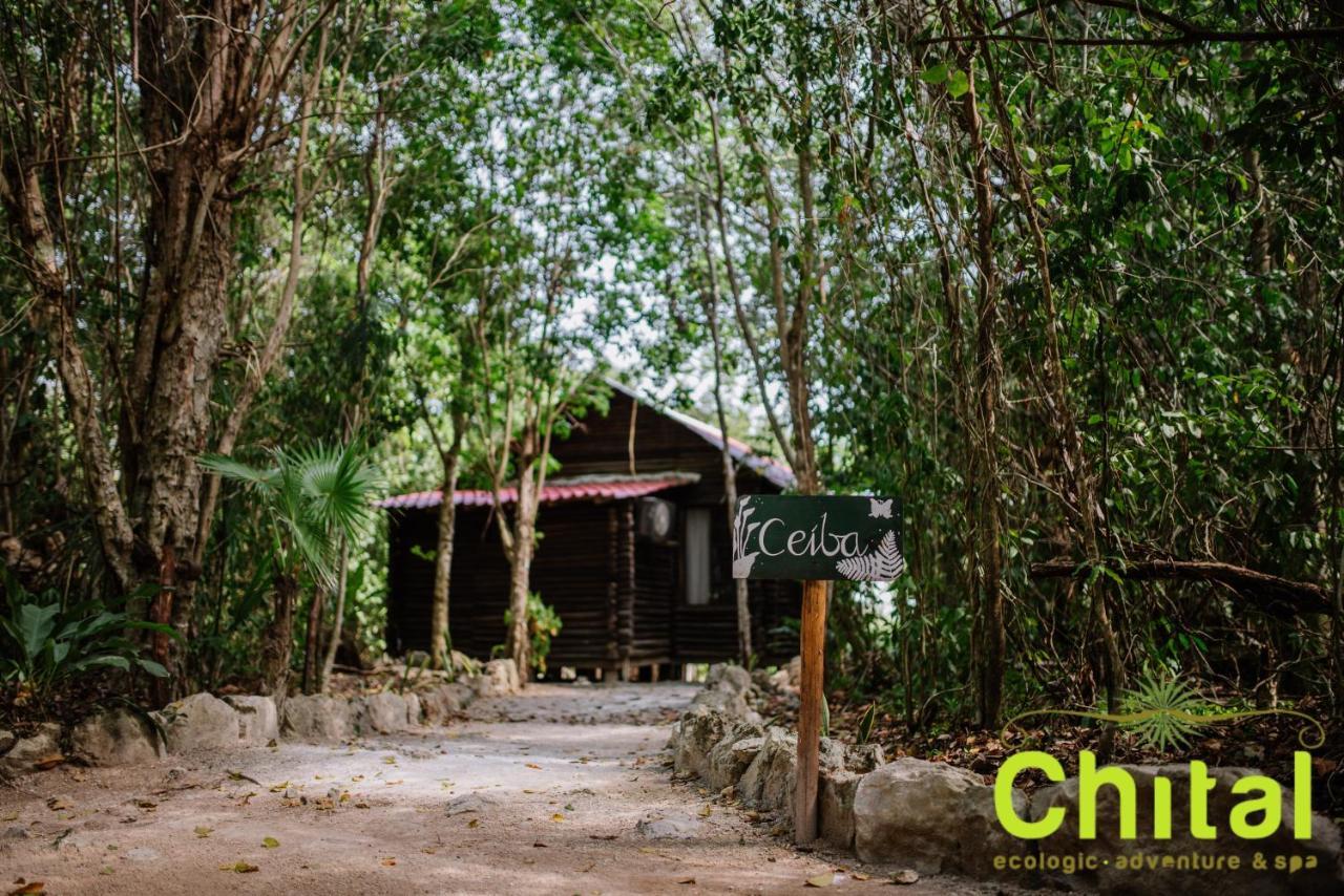 Hotel El Chital Raudales Ngoại thất bức ảnh