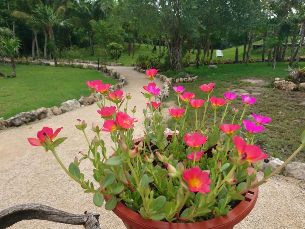 Hotel El Chital Raudales Ngoại thất bức ảnh