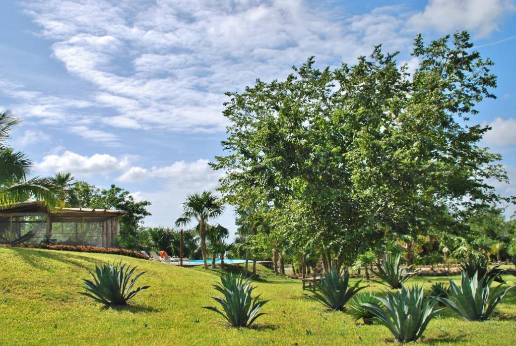 Hotel El Chital Raudales Ngoại thất bức ảnh